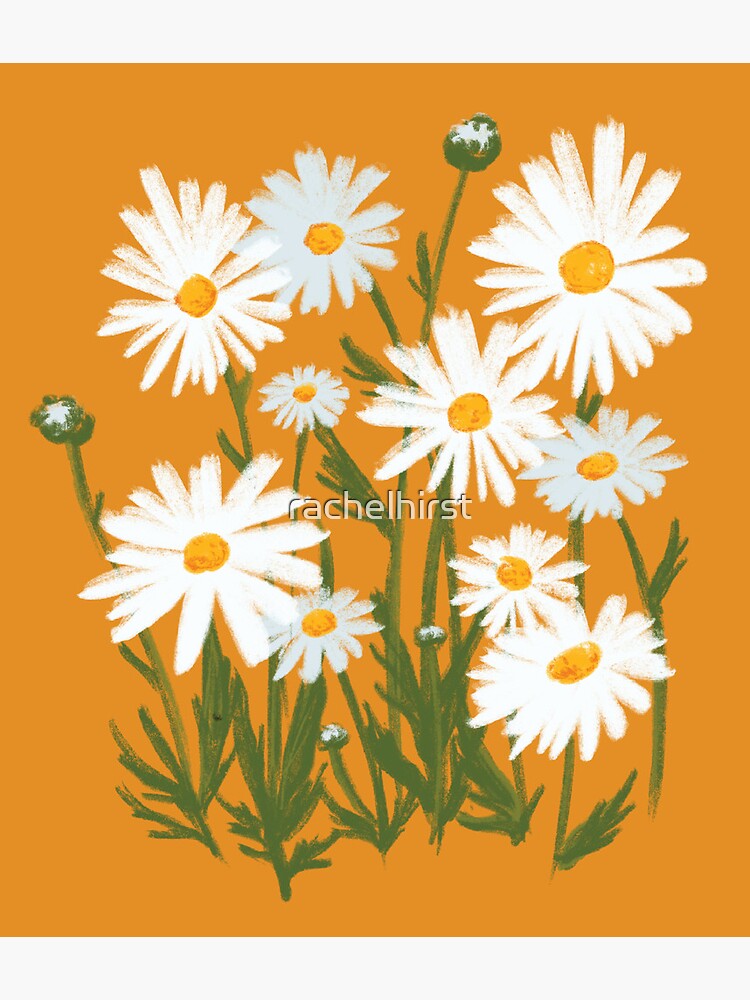 How to Draw a Daisy Flower (Daisies) in Easy Step by Step Drawing