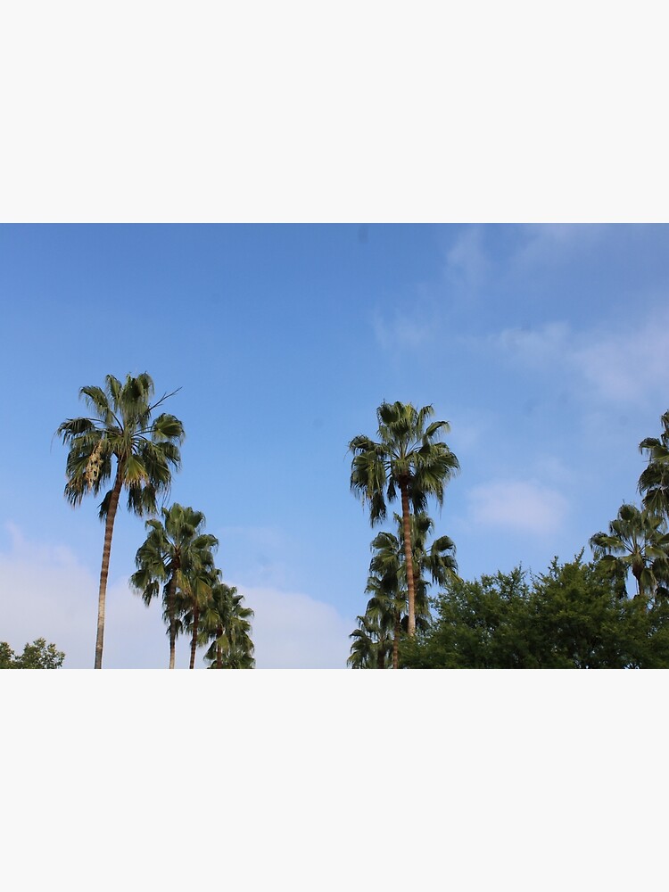 "Palm Trees in Anaheim California " Poster for Sale by