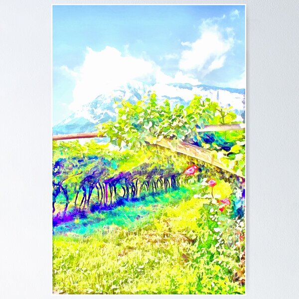 Item preview, roses in the vineyard in the mountains designed and sold by Giuseppe Cocco.