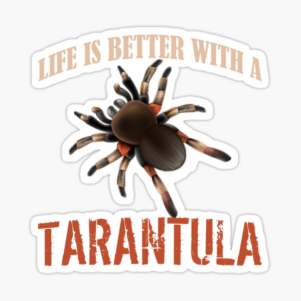 Artikel-Vorschau von Tarantula-T-Shirts Das Leben ist mit einem Tarantula besser, designt und verkauft von Draw-Floks.