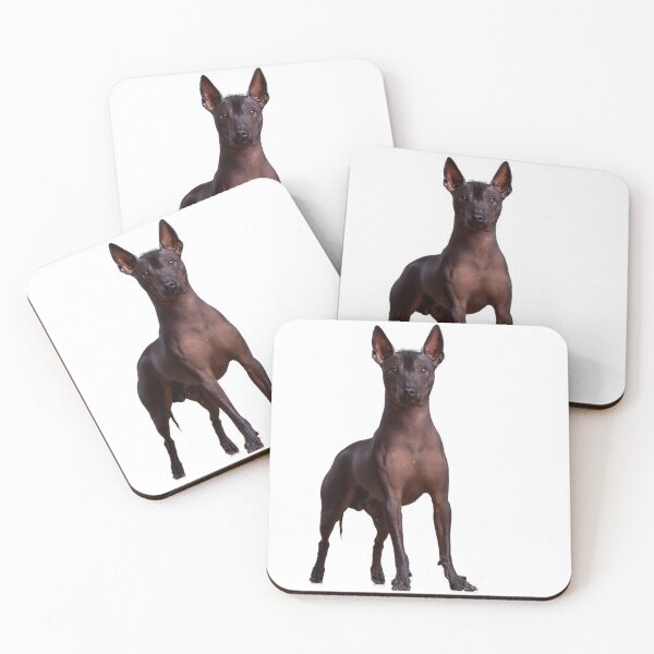 Item preview, black xoloitzcuintle  designed and sold by Xolo-Rescue.