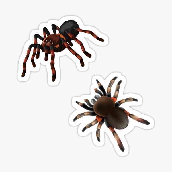 Item preview, Tarantula Sticker Pack designed and sold by Tarantula-Pet.