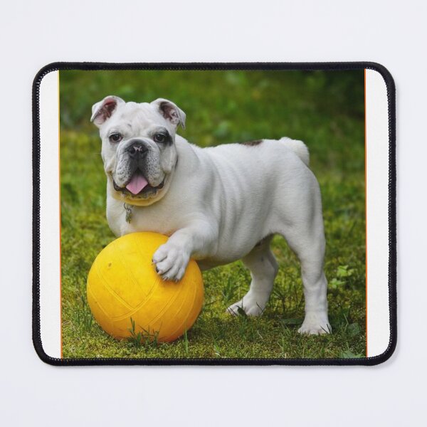 Item preview, Play Dog designed and sold by Saiamrita123.