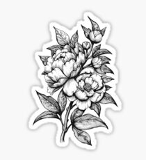 PEONIES - Lineart Sticker