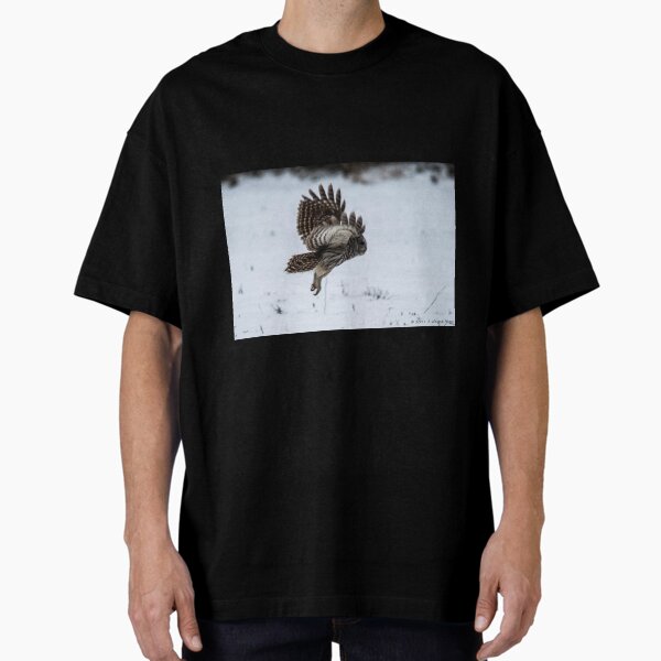Item preview, Barred Owl (Strix varia), Scotland, Maryland 2017 designed and sold by jwhimages.