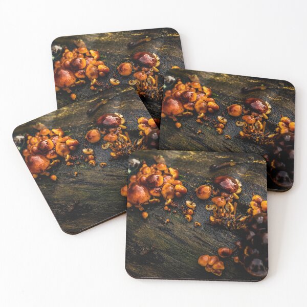 Item preview, Fungi At Jesmond Dene designed and sold by axp7884.