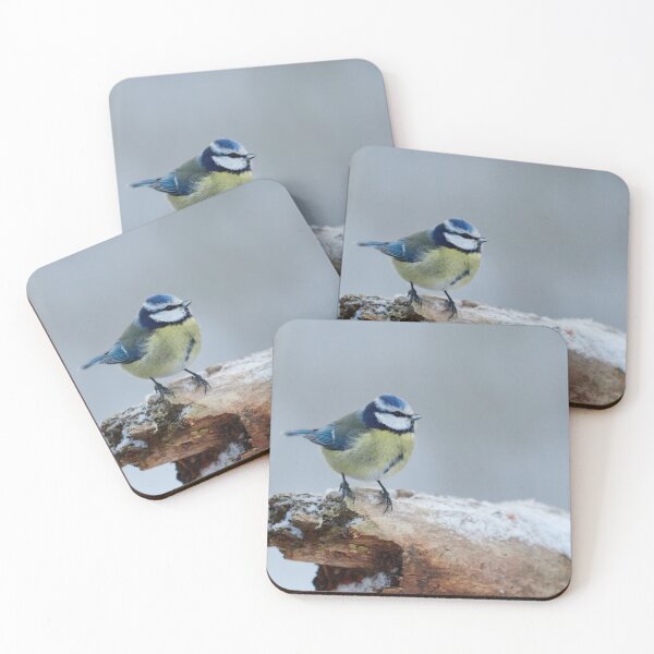 Item preview, Just a gray day. Eurasian blue tit designed and sold by Jouko Lehto Photography.