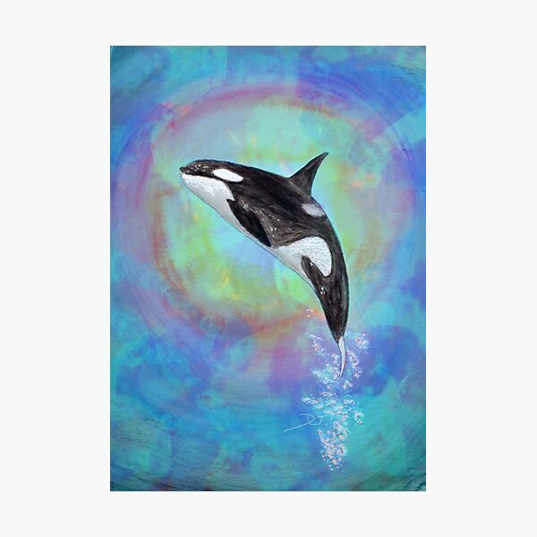 Orca Photographic Print