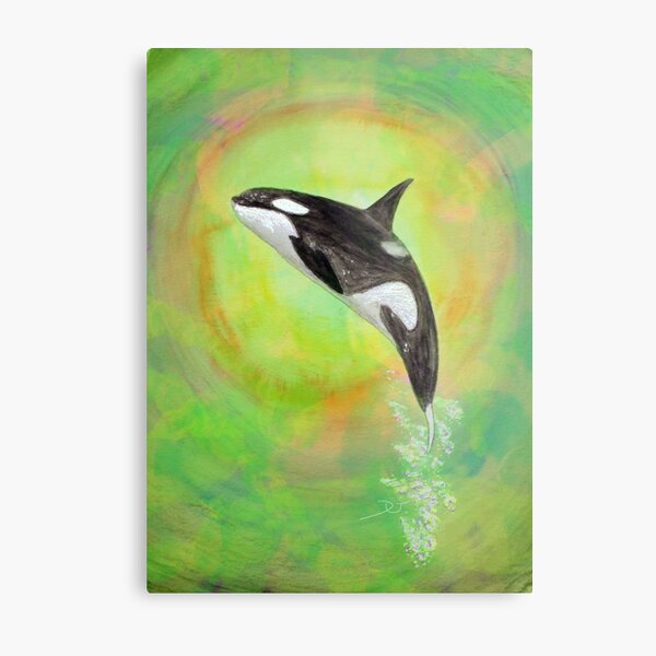 orca Metal Print