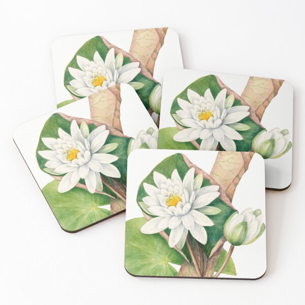Item preview, American Waterlily by Mary Vaux Walcott designed and sold by InHerits.