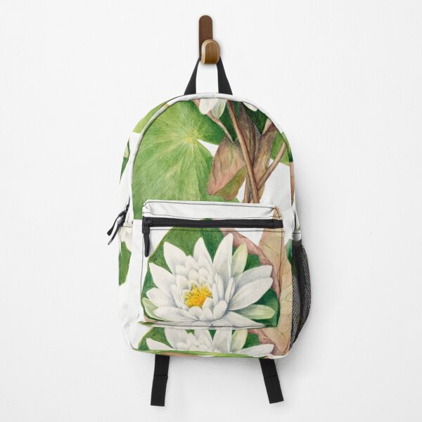 Item preview, American Waterlily by Mary Vaux Walcott designed and sold by InHerits.