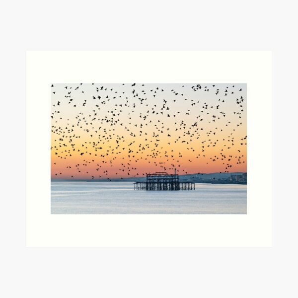 Item preview, Starling Murmuration over Brighton Old Pier designed and sold by sarah-presh.