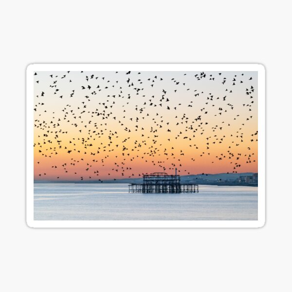 Item preview, Starling Murmuration over Brighton Old Pier designed and sold by sarah-presh.