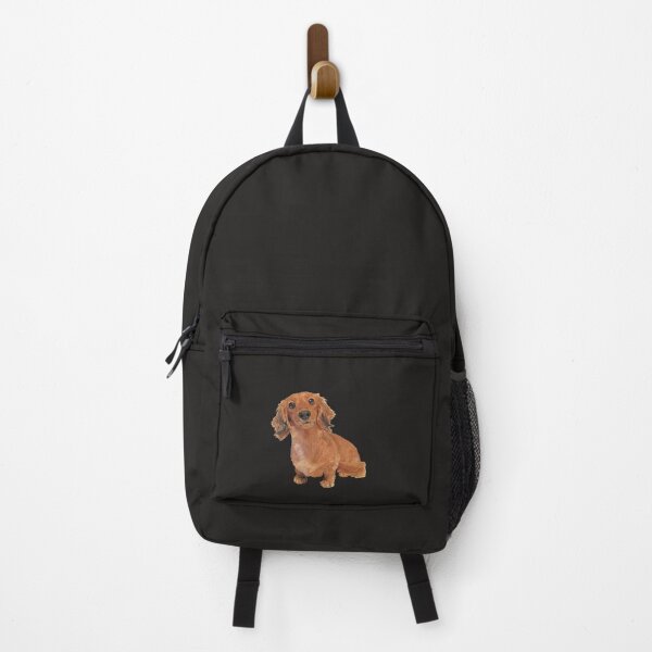 Item preview, Cute Long Haired Dachshund Painting Sticker designed and sold by Ericuhlbach.