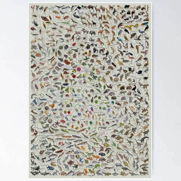 Item preview, Tree of Life Poster - Animal and Plant Evolution - Colour (Scientific Annotations others available) Grey designed and sold by EvolutionPoster.