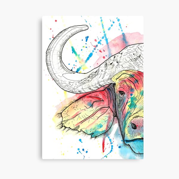 Buffalo Watercolour Canvas Print