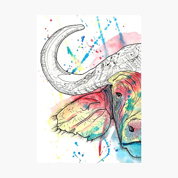 Buffalo Watercolour Photographic Print