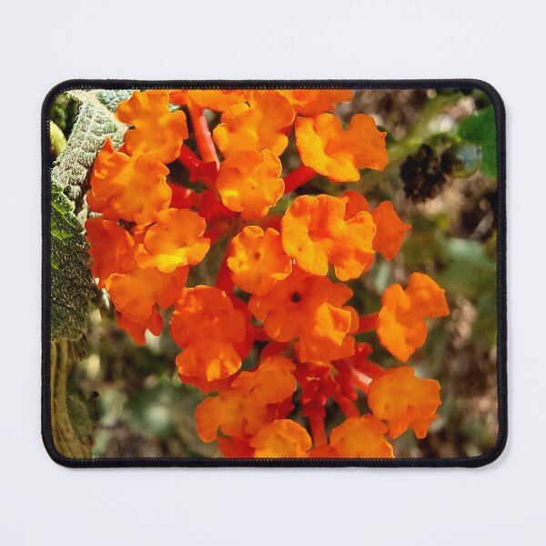Item preview, Orange Flowers Simple Flowers Metastudio Floral Leaf Nature designed and sold by metastudio.