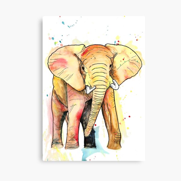Elephant Watercolour Canvas Print