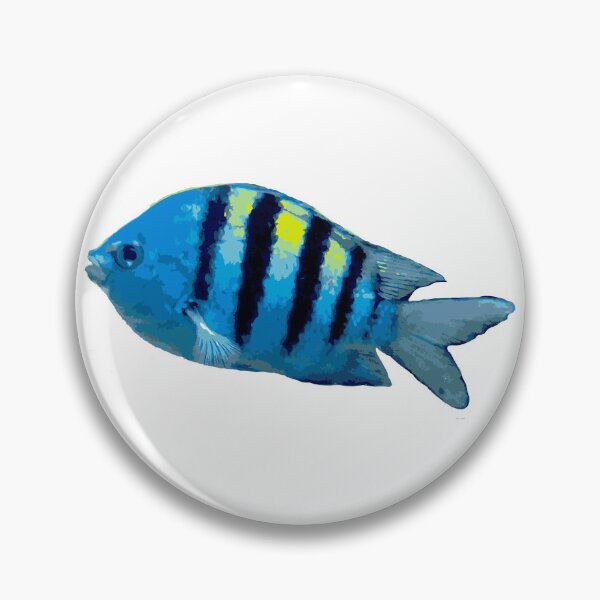 Item preview, Sergeant major (fish) designed and sold by kapowy27.