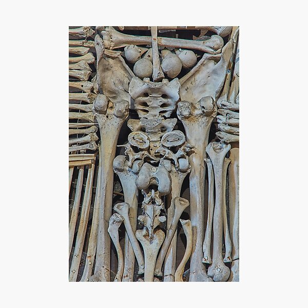 Sedlec Ossuary Coat of Arms Photo Art, Skull Bone Church Photographic Print