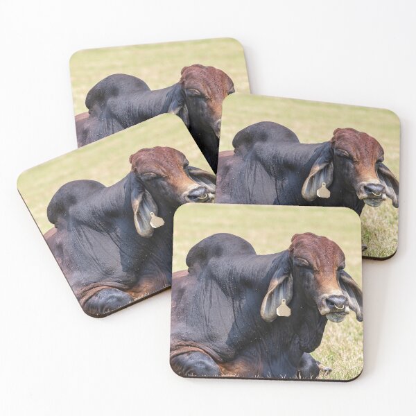 Item preview, Thats a whole lot of bull designed and sold by noblephoto.