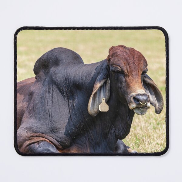Item preview, Thats a whole lot of bull designed and sold by noblephoto.