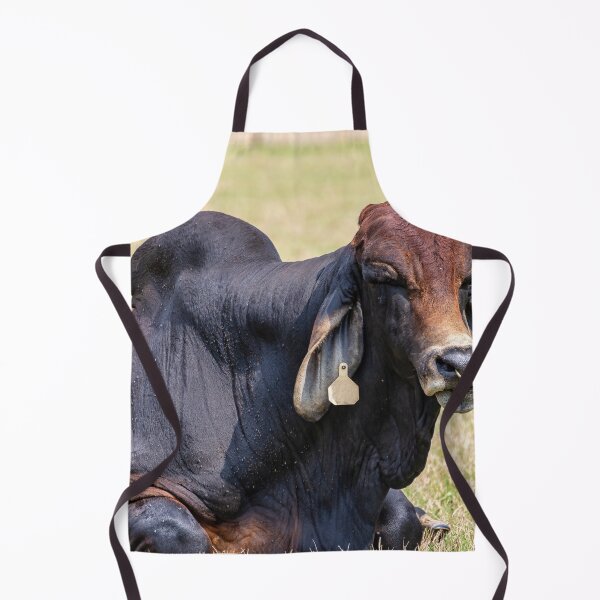 Item preview, Thats a whole lot of bull designed and sold by noblephoto.