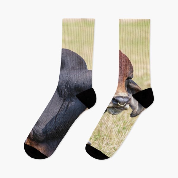 Item preview, Thats a whole lot of bull designed and sold by noblephoto.