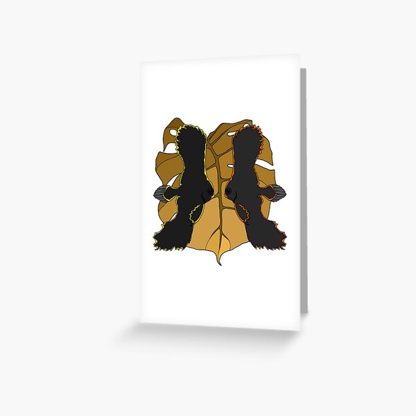 Batfish Greeting Cards for Sale