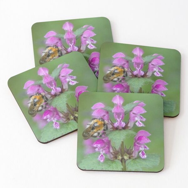Item preview, Large Garden Bumblebee on Spotted Dead Nettle designed and sold by Calidris Fotografie Steffi & Ben Köppler.