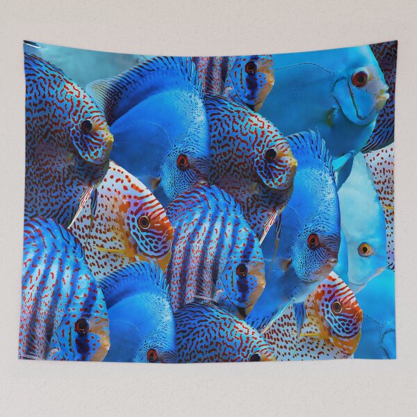 Item preview, Discus Fish Collage designed and sold by GFishy.