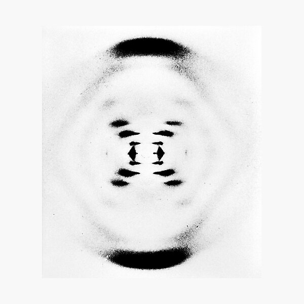 Item preview, Rosalind Franklin's B-Form x-ray of DNA, 1952, Diffraction Photo designed and sold by ScienceSource.
