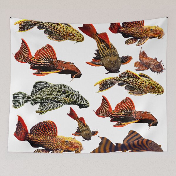 Item preview, Pleco Sticker Collection designed and sold by GFishy.