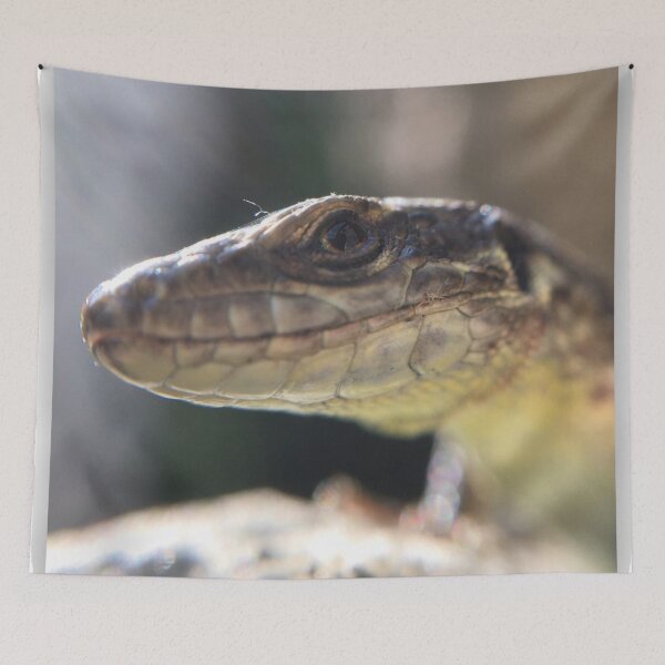 Item preview, Lizard lizard designed and sold by neugart.