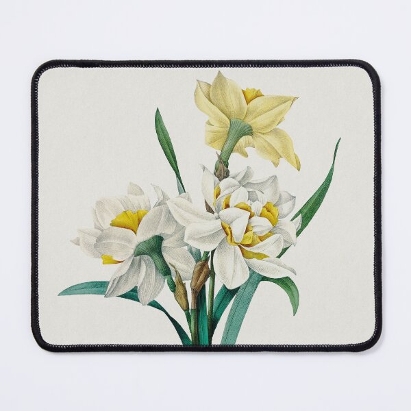 Item preview, Double Daffodil by Pierre-Joseph Redouté  designed and sold by InHerits.