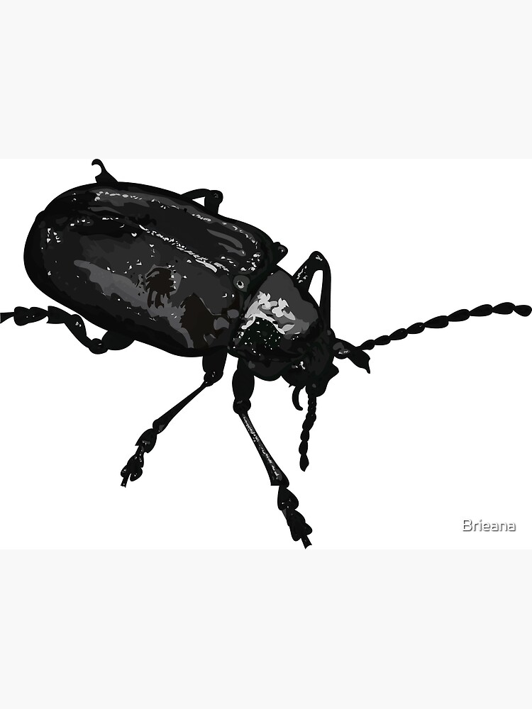 "Black Beetle" Poster by Brieana Redbubble
