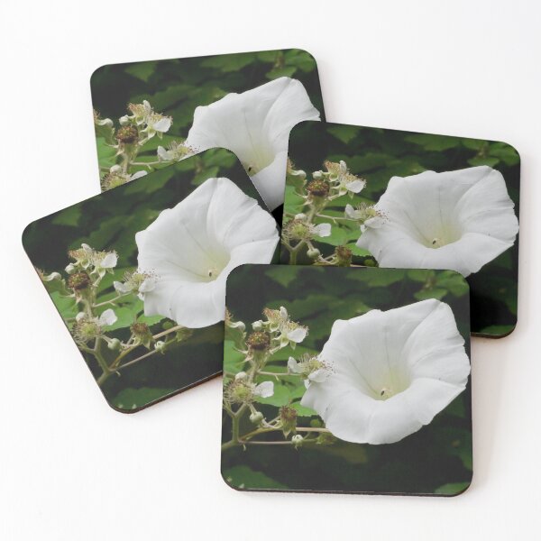 Item preview, White Flower and Buds on a Dull Summer Day designed and sold by lightworks.