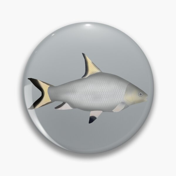 Artikelvorschau, Bala Hai entworfen und verkauft von fishfolkart.