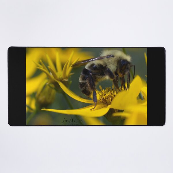Item preview, "Bee Enjoying Lunch" designed and sold by Lisa Wrona.