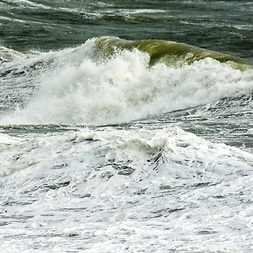Artwork thumbnail, Wave Anatomy by Ruth Curtis