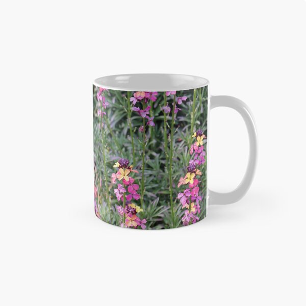 Item preview, Erysimum designed and sold by pinkal.