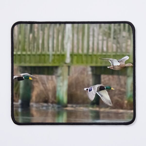 Item preview, Take Flight designed and sold by Lauren1235.