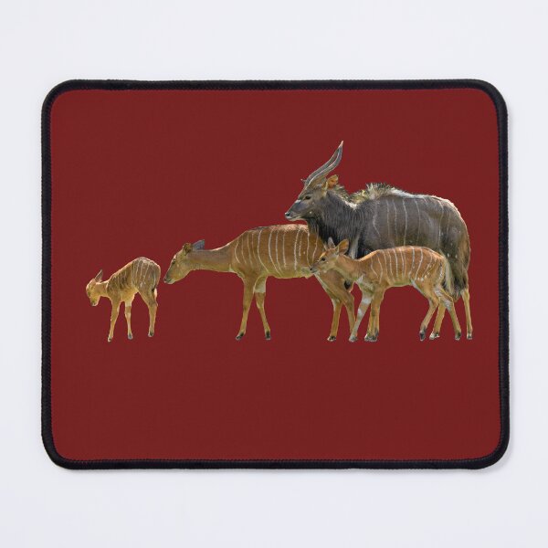 Item preview, Antelope Nyala Family, African Animals, Natural designed and sold by CreaVisArt.