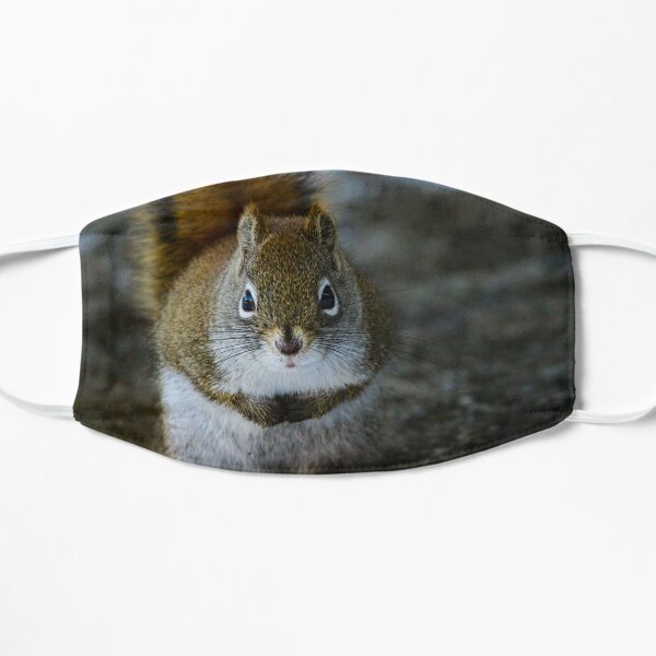 Squirrel Day Flat Mask