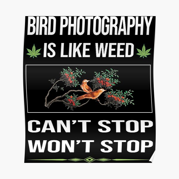 Funny Cant Stop Bird Photography Bird Watching Birdwatching Poster For Sale By Amazinglife123