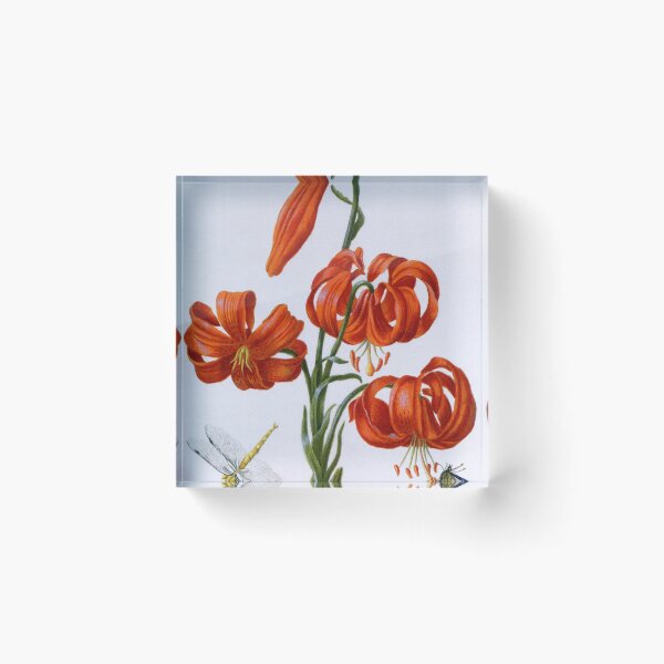 Item preview, Red Lily antique 1680 designed and sold by aapshop.