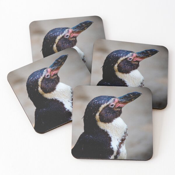 Item preview, Flightless Feathered Friend designed and sold by DoodleBugImages.
