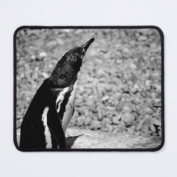 Item preview, Shivering (Monochrome) designed and sold by DoodleBugImages.