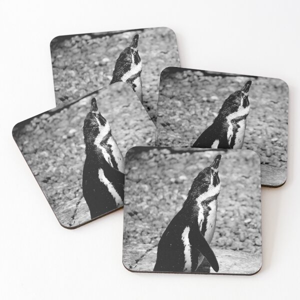 Item preview, Shimmy & Shake (Monochrome designed and sold by DoodleBugImages.